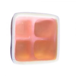 Top-down view of reusable dental sinus lift model