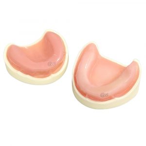 Pink edentulous mandibular and maxillary soft gum model for overdenture implant training