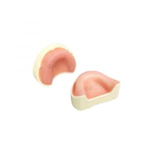 Soft gum edentulous jaw models upper and lower arch for implant procedure training