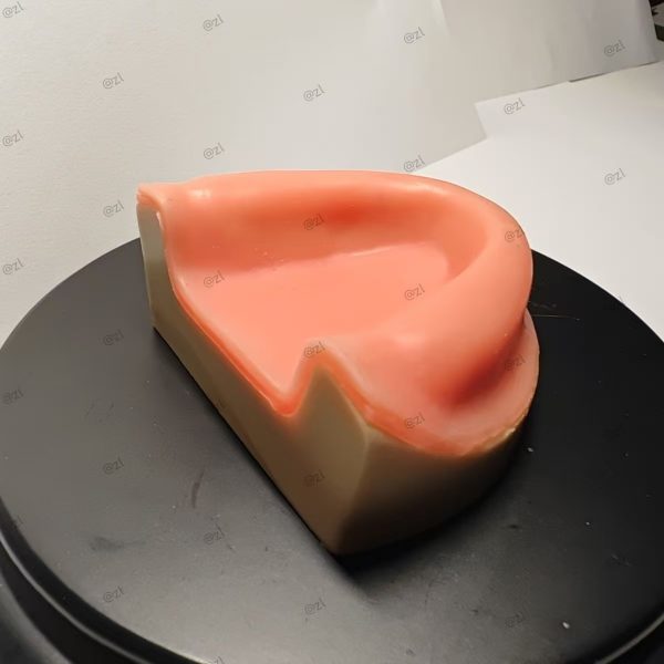 Implant Trainer