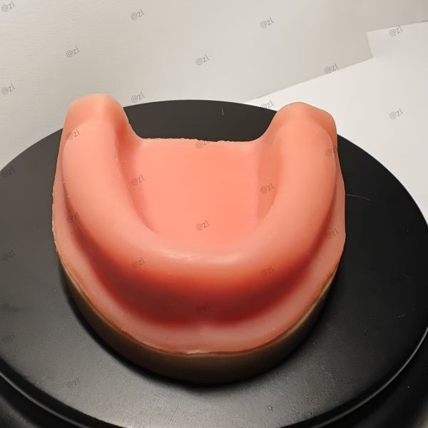 Implant Trainer