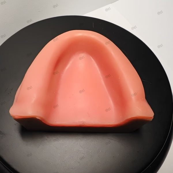 Implant Trainer