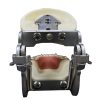 Primary Teeth Dental Model