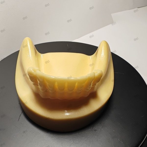 Realistic Implant Trainer