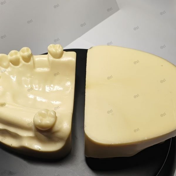 Top view of upper jaw dental implant model made of type 3 bone density resin