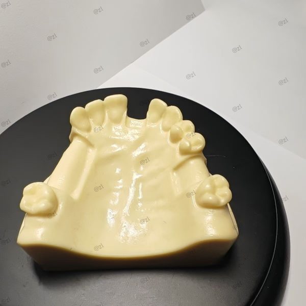 Bridge-style dental implant training model for upper jaw anatomy demonstration