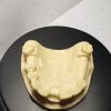Front view of upper jaw dental implant training model showing bridge area and implant holes