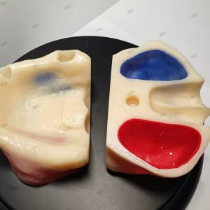 Sinus Lift Simulator