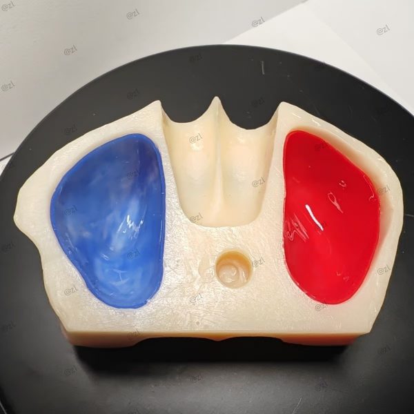 Sinus Lift Simulator