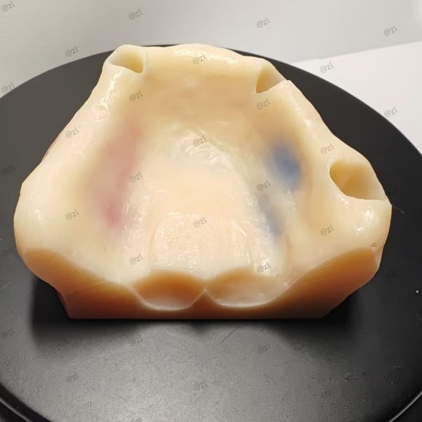 Sinus Lift Simulator