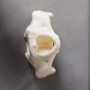 Zygomatic Implant Simulator