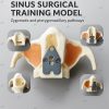 Zygomatic Implant Simulator