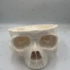 Surgical Skull