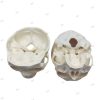 Surgical Skull