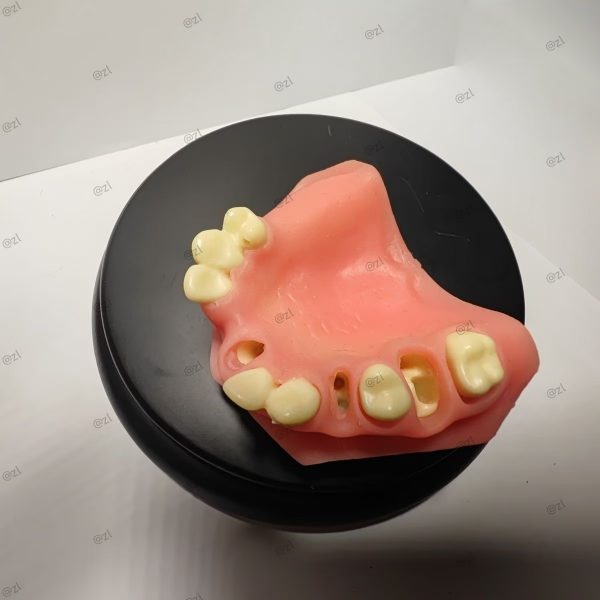 Sinus Lift Simulator