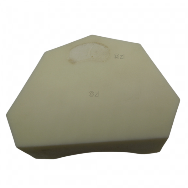 Bottom base of the resin upper jaw dental training model