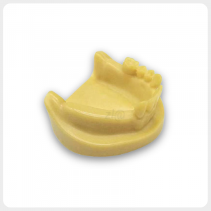 Partial Edentulous Mandibular Training Model Lower jaw partial edentulous dental implant model