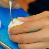 Dental Implant Sinus Lift Training Model For Surgery Practice