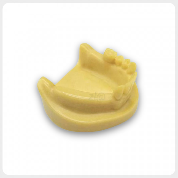 Partial Edentulous Mandibular Training Model Lower jaw partial edentulous dental implant model