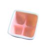 Cross-section of dental sinus lift model with 4-quadrant cavity