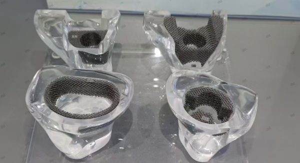 3D-Printed Skulls and Knee Joints in The Biomedical Field
