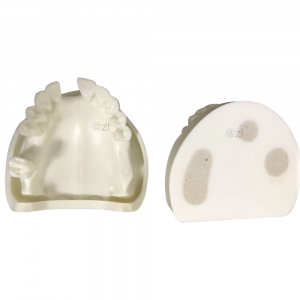 Upper Jaw Implant Practice Model with Tooth Holes and Flat Base