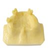 Rear view of anatomical nasal base model with protrusions