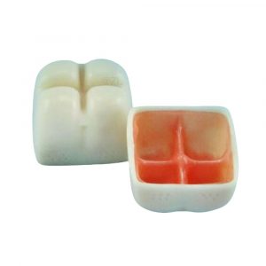 Full dental sinus lift model showing interior and exterior view