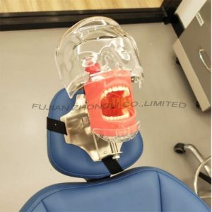 Dental Phantom Demo