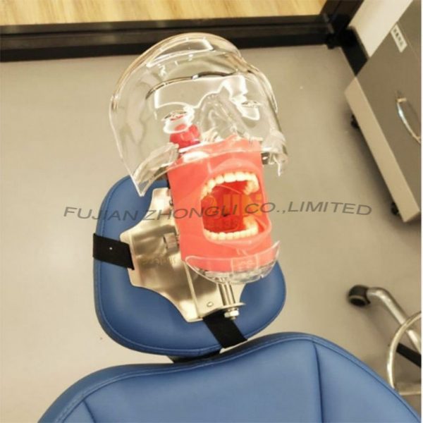 Dental Phantom Demo