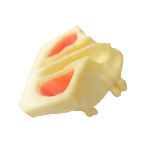 Side angle of nasal and sinus model showing cavity depth