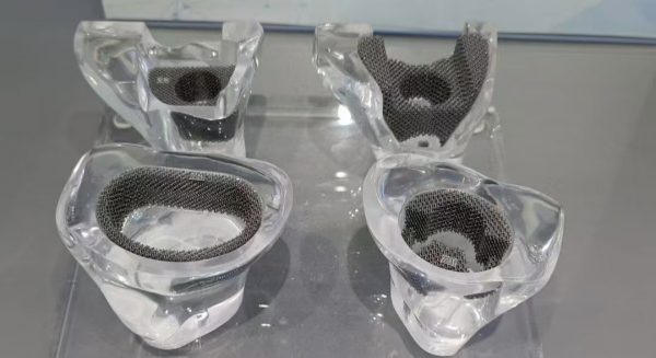 3D-Printed Skulls and Knee Joints in The Biomedical Field