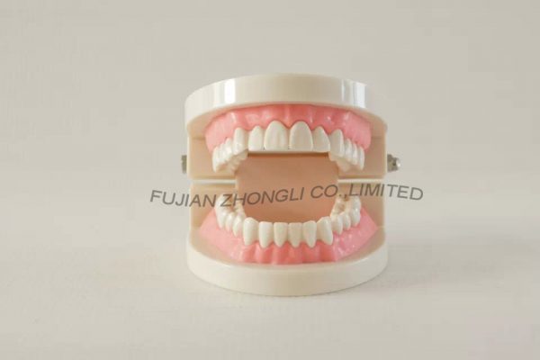Cheap Nursing Dental Care for Dentist