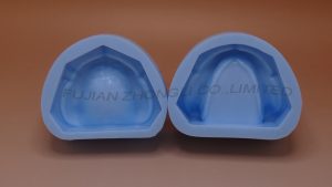 Dental Plaster Mold of Edentulous