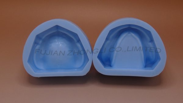 Dental Plaster Mold of Edentulous