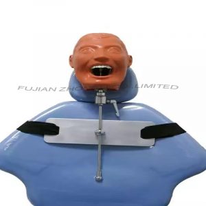 Dental Manikin