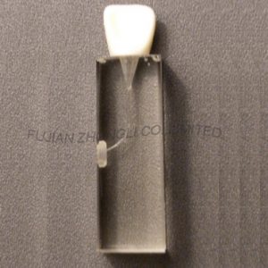 High Quality Endodontic Teeth