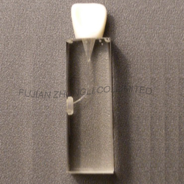 High Quality Endodontic Teeth