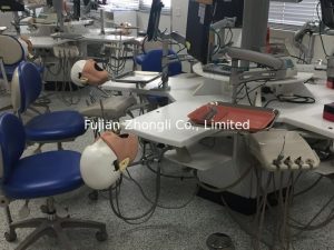 High Quality Stainless Steel Dental Phantom Head for University