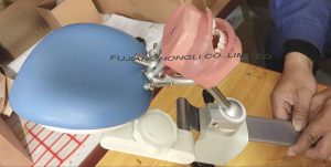 Simple Dental Manikin