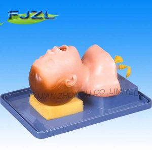 Newborn Baby Trachea Intubation Model