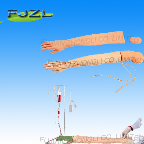 Multi-Functional Iv Training Arm