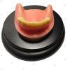 Implantation Drilling Practice & Training Lower Jaw Model