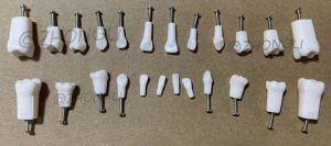 Replacement Teeth for 24 Teeth
