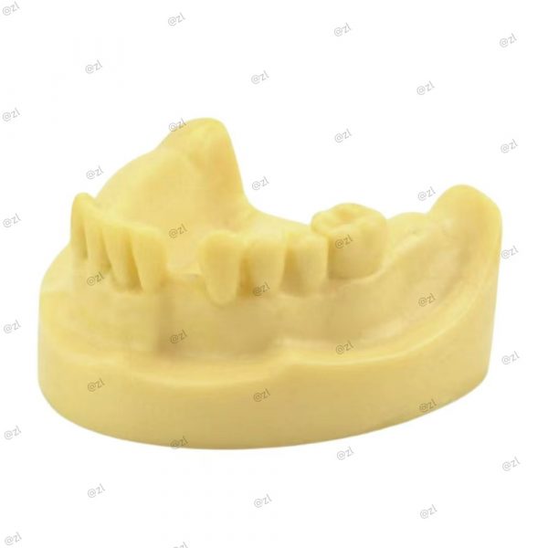 Side view of mandibular dental implant training model