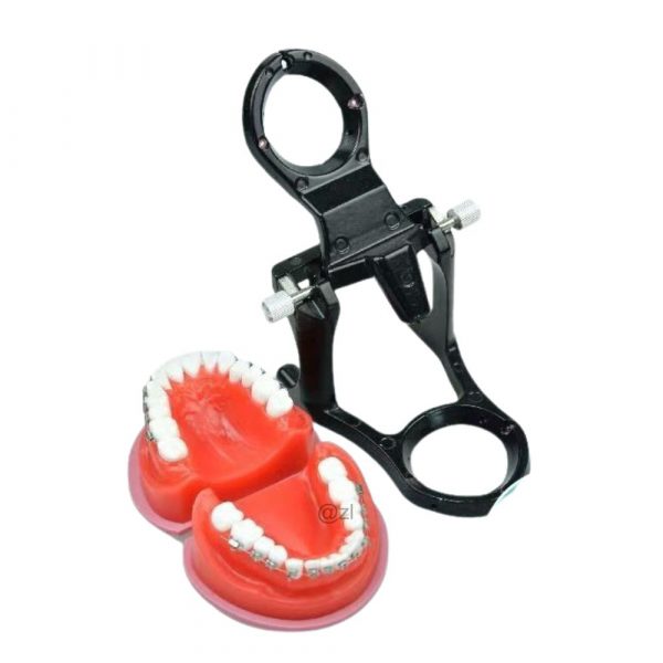 Orthodontic Occlusion Training Model for Dental Practice Dental orthodontic practice model showing occlusion with brackets and wax rim