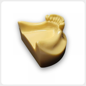 1 Realistic Implant Trainer