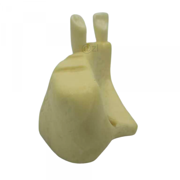 Professional Dental Implant Training Manikin Oblique view of dental implant surgery model showing a case of insufficient bone height.