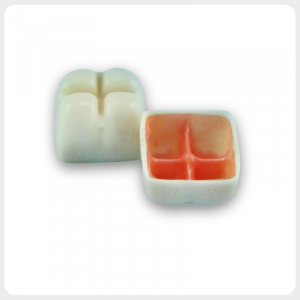 Complete Dental Implant Training Block with Open Section Full dental sinus lift model showing interior and exterior view