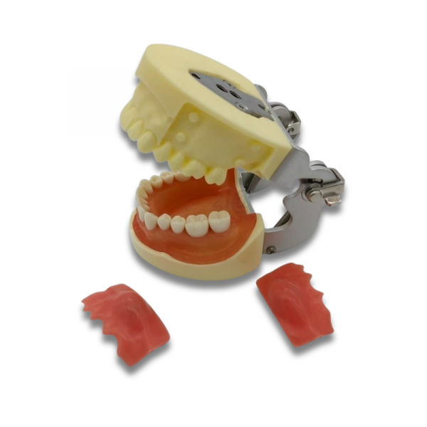 Dental abscess training model with replaceable abscess modules